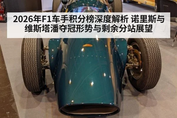 2026年F1车手积分榜深度解析 诺里斯与维斯塔潘夺冠形势与剩余分站展望